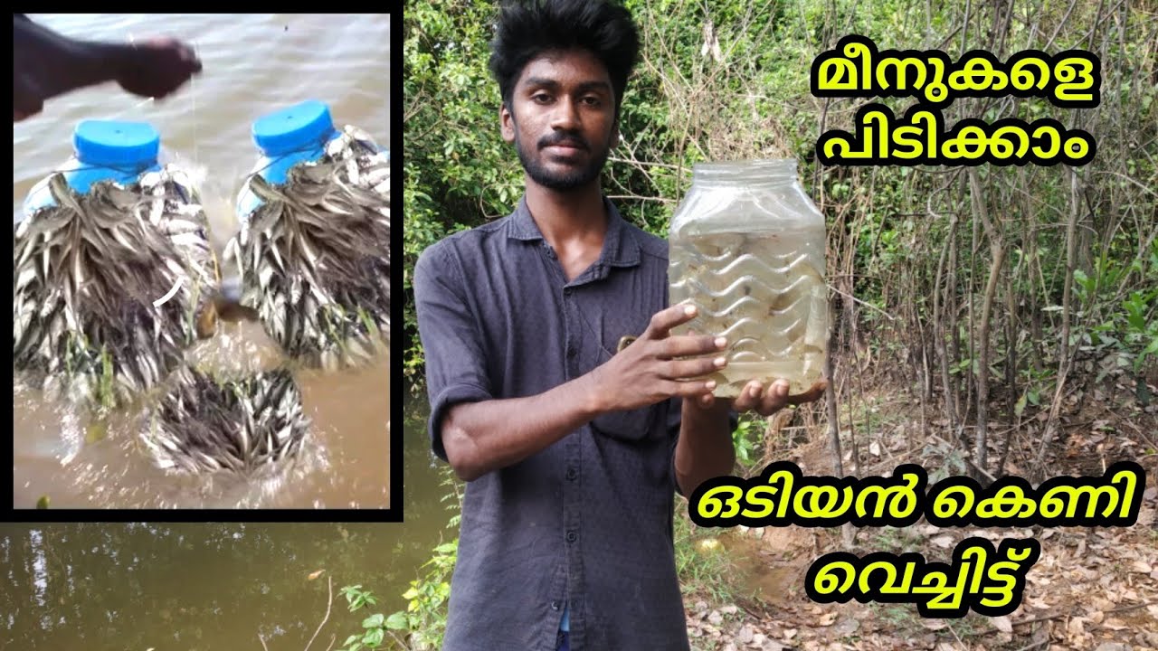 Village River Fishing|Bottle Fish Trape Making Malayalam|Village Fishing