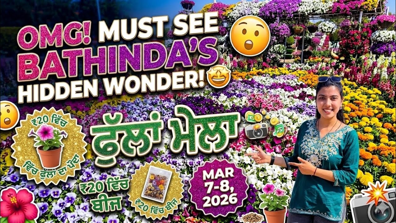 Bathinda Flower Show 2026 || Plants & Seeds for ₹20! 🌱  || Creativity dekh kr dil khush ho jayega 😄