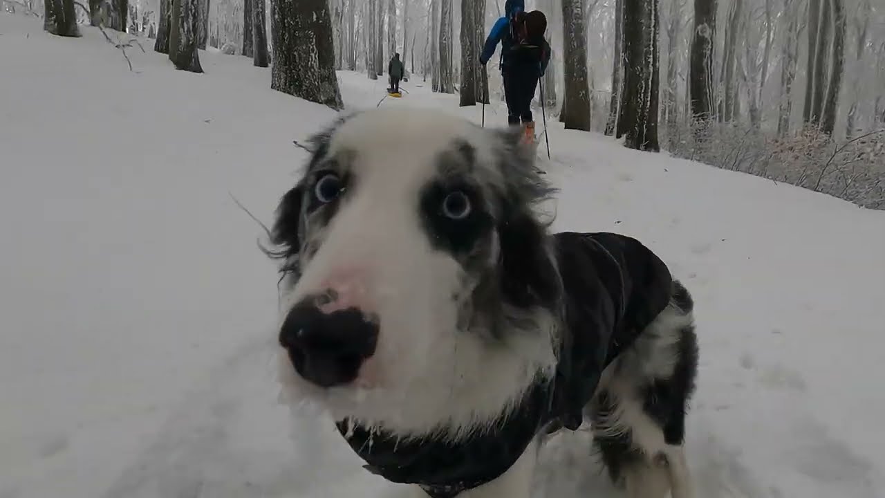 Winter MTBike snowride vs snowboard Inovec  Inovecka chata Trencianske Jastrabie Slovakia 3 12 2023