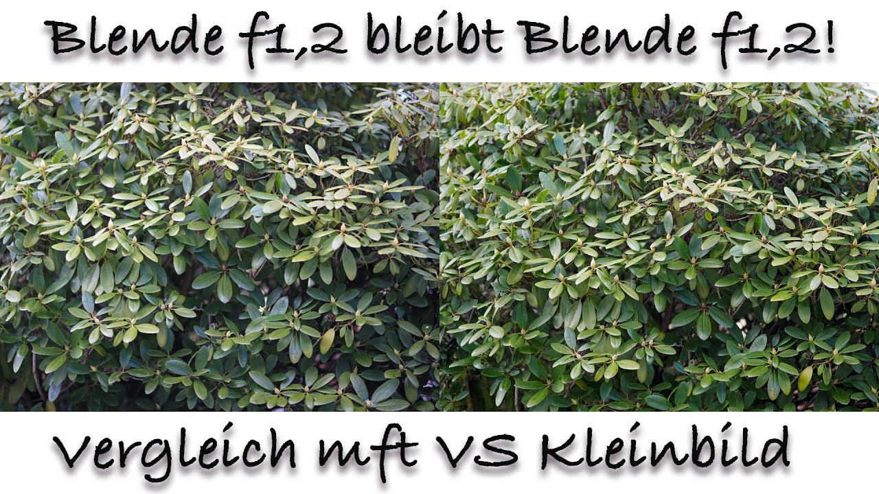 Es kommt nicht auf die Gr&ouml;&szlig;e an! Blende 1,2 bleibt Blende 1,2 egal ob mft, APS-C oder Kleinbild!