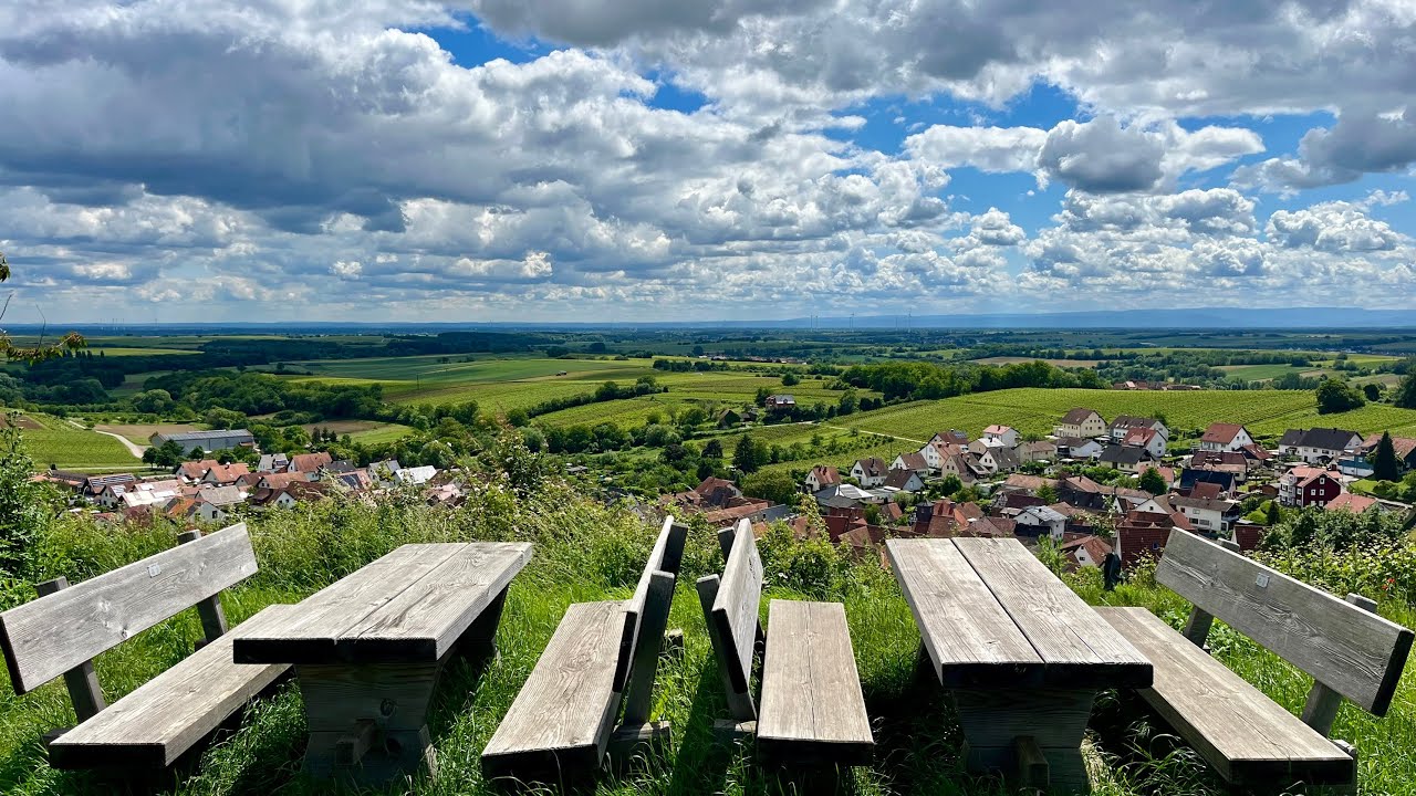 Bad Bergzabern und Umgebung, Impressionen aus der schönen Vorderpfalz, Mai 2024.