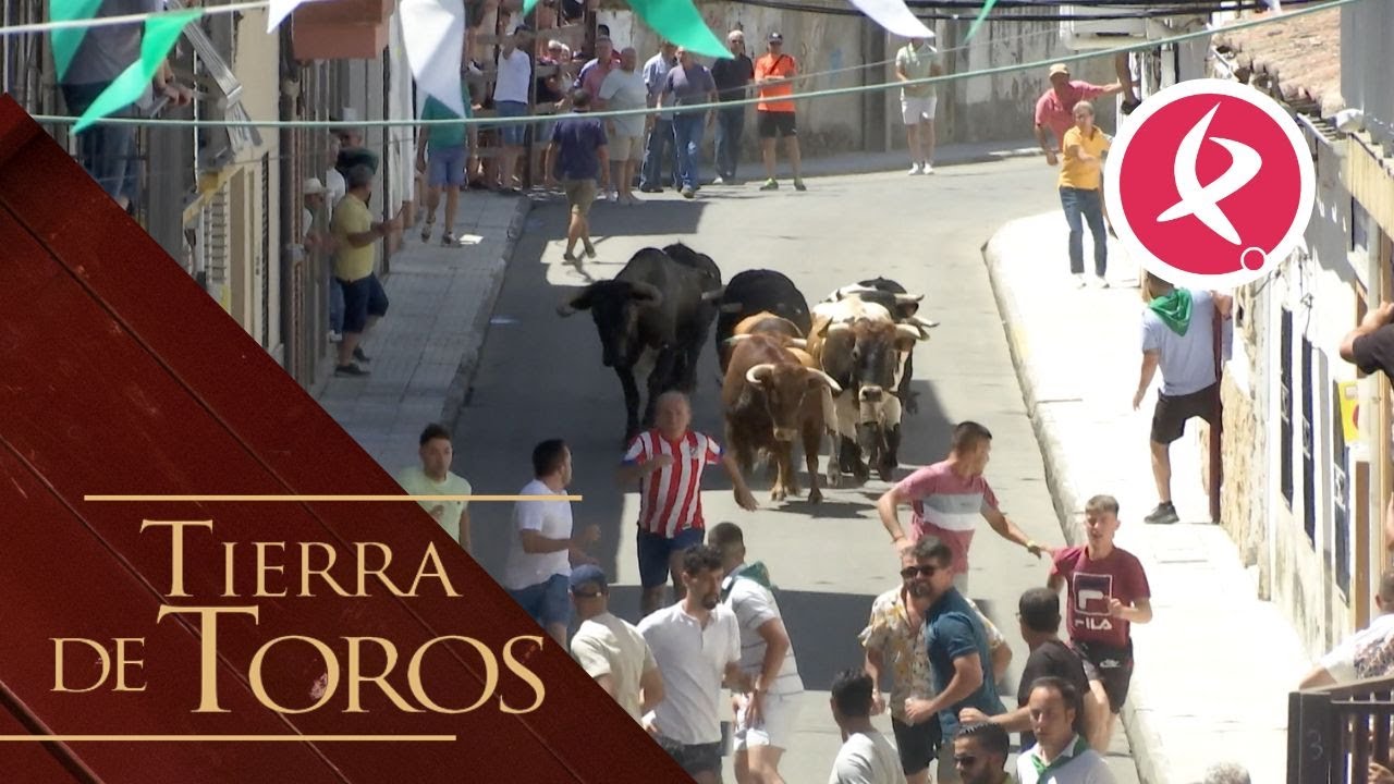Dos ganaderías juntas complican el segundo encierro de San Buenaventura | Tierra de Toros