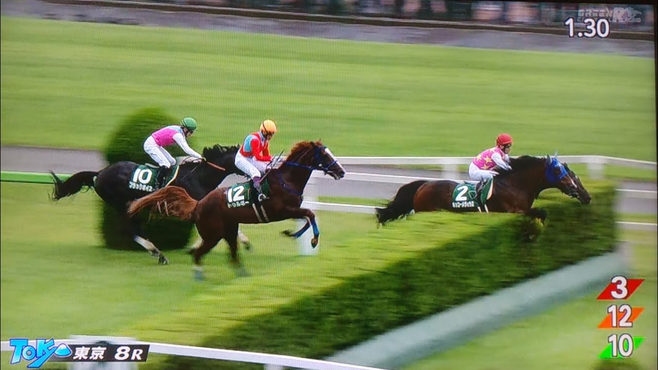 東京8レース第26回東京ジャンプステークス(J・GⅢ) ジューンベロシティ