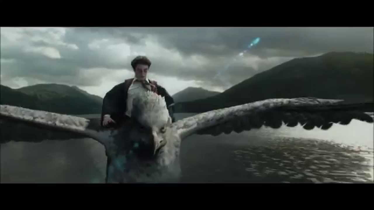 Harry Potter-Hero