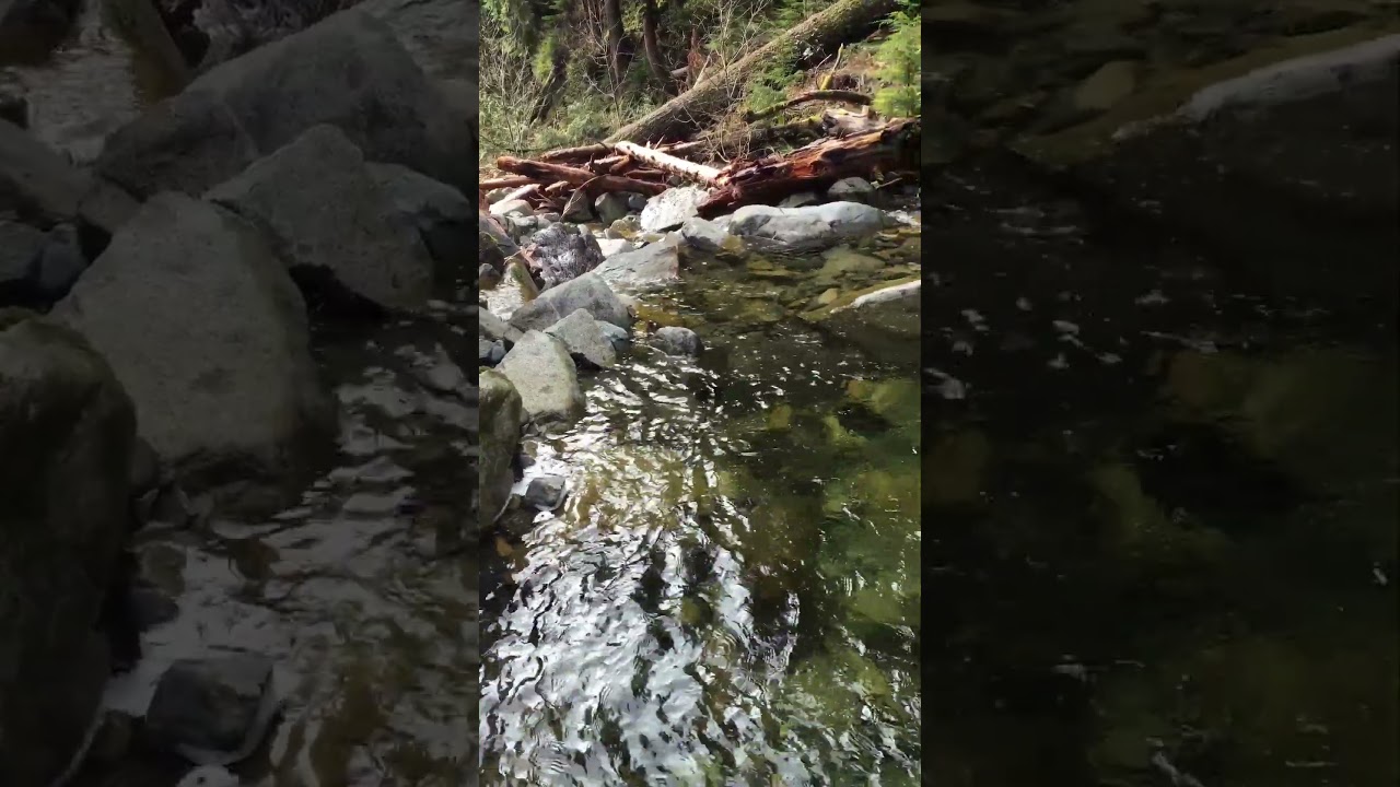 Rippling | Early Morning | Forest Pool | Pratt Balcony Trail | North Bend, WA #nature #forest #river