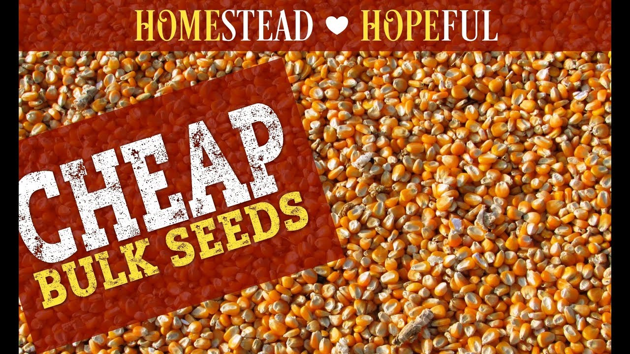 Trick for Getting Bulk Gardening Seeds Cheap for SHTF