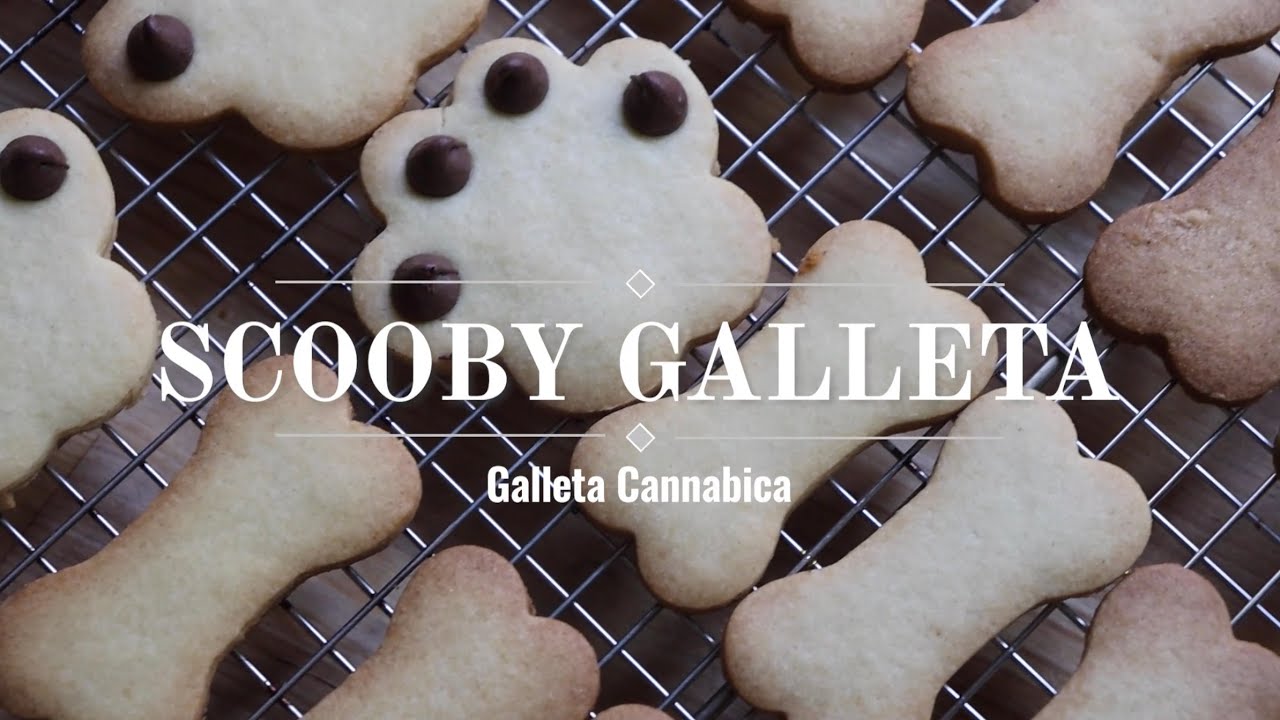 Scooby Galletas || GALLETAS con mantequilla de MARIHUANA || Receta Cannabica