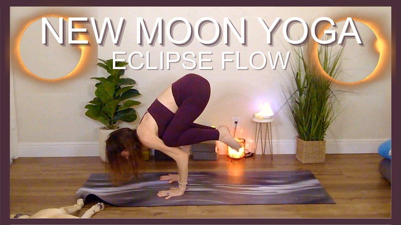 New Moon Solar Eclipse in Aquarius 🌑 Fire Horse 2026 | Astro Chat & Somatic Reset
