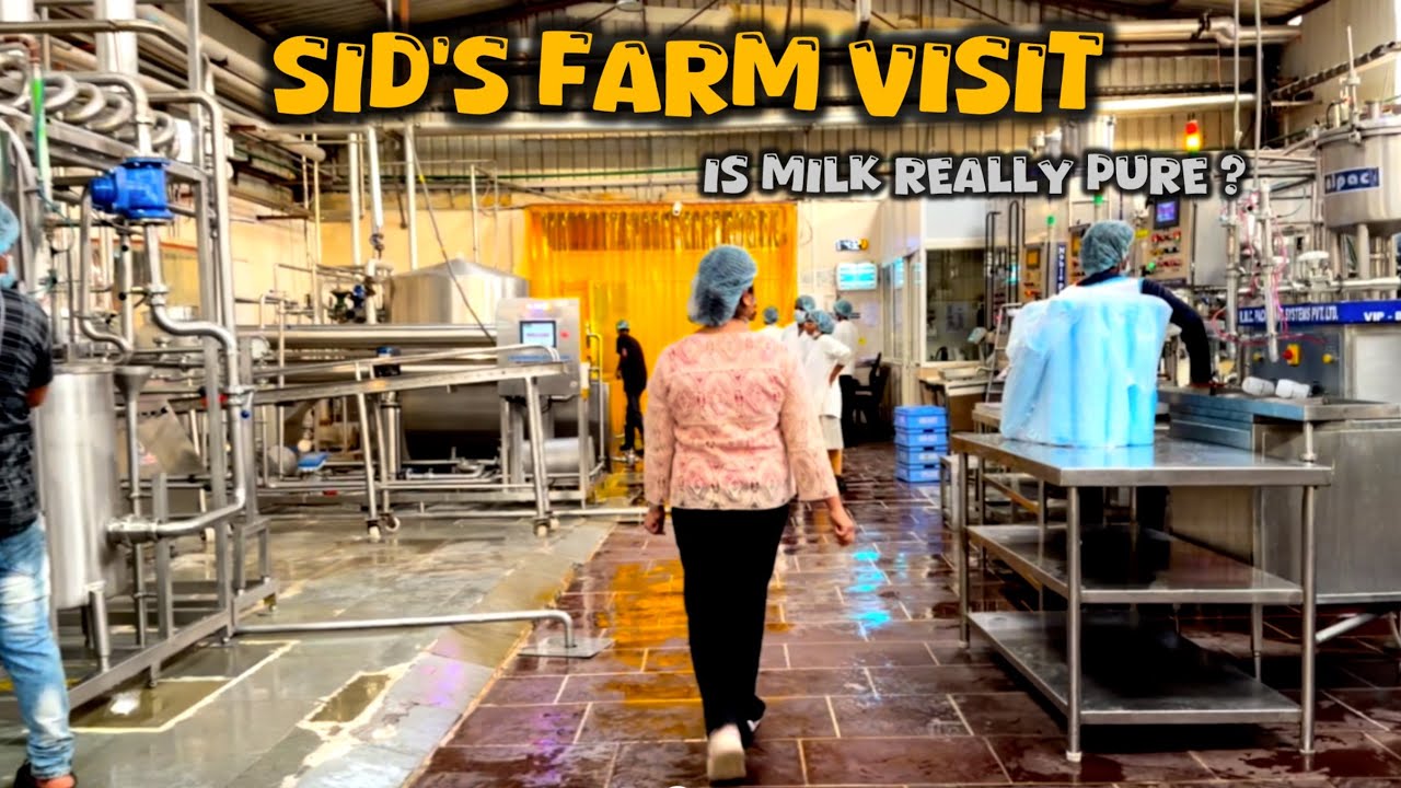 I Saw How Milk Is Made at Sid’s Farm |Pure Process Explained by CEO|Lab Tests, Pasteurisation |