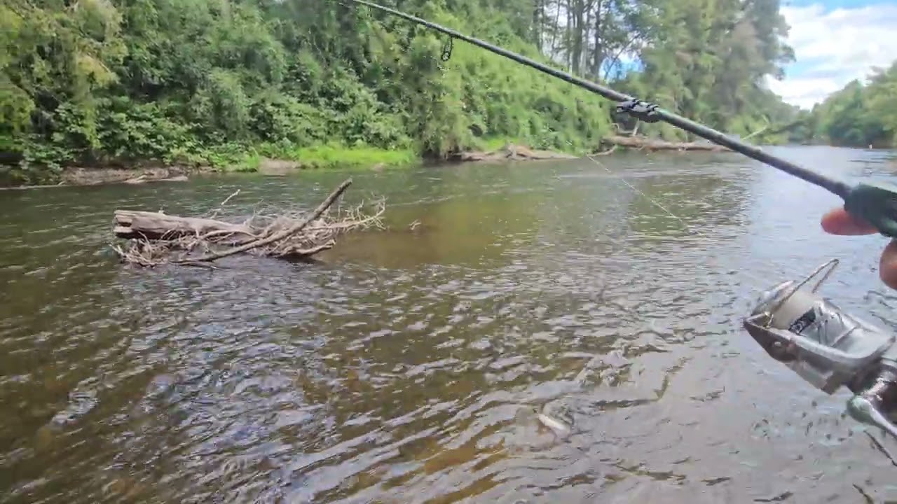 Aprovechando el descanso 