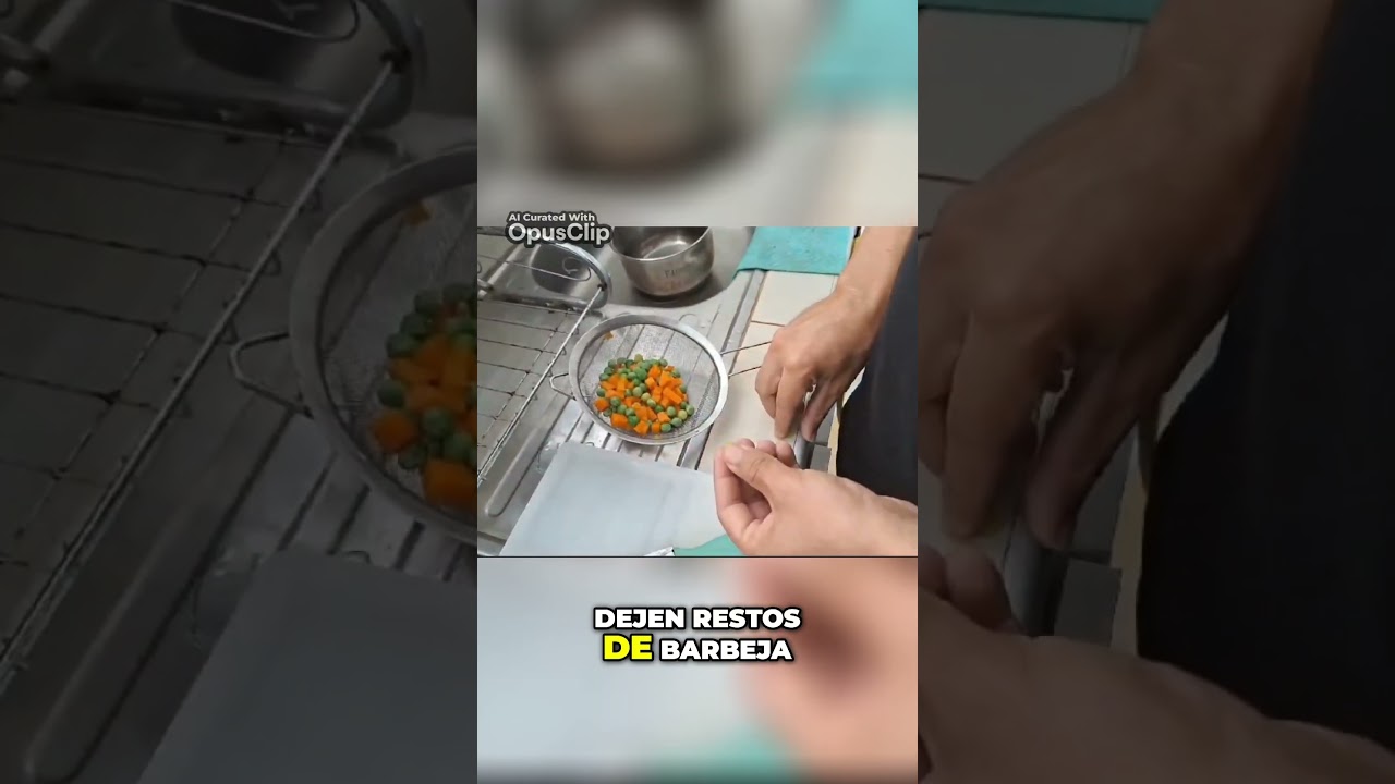 C&oacute;mo alimentar a los peces adecuadamente para evitar residuos en el acuario