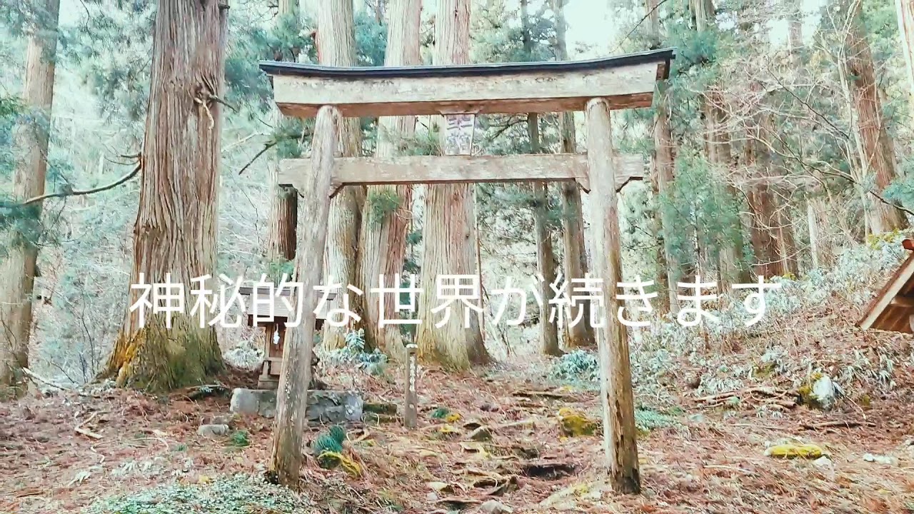 広島県　熊野神社　比婆山　　　　　　　　テオと一緒に神秘の世界へ✨✨✨