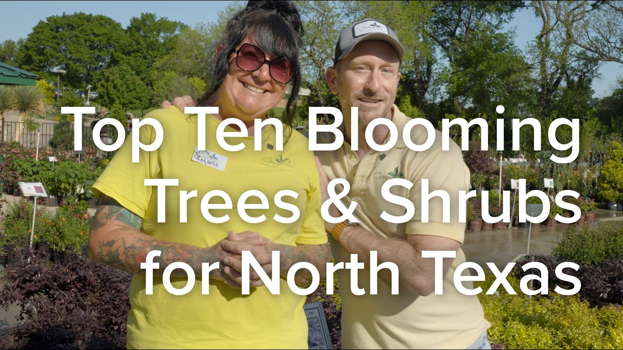 Top Ten Blooming Trees & Shrubs for North Texas - Let's Grow Together