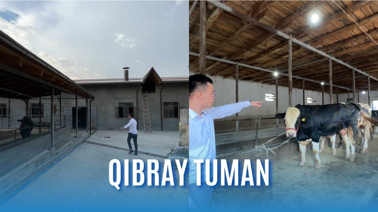 FERMA BIZNES UCHUN TAYYYOR UY, 99-944-09-49