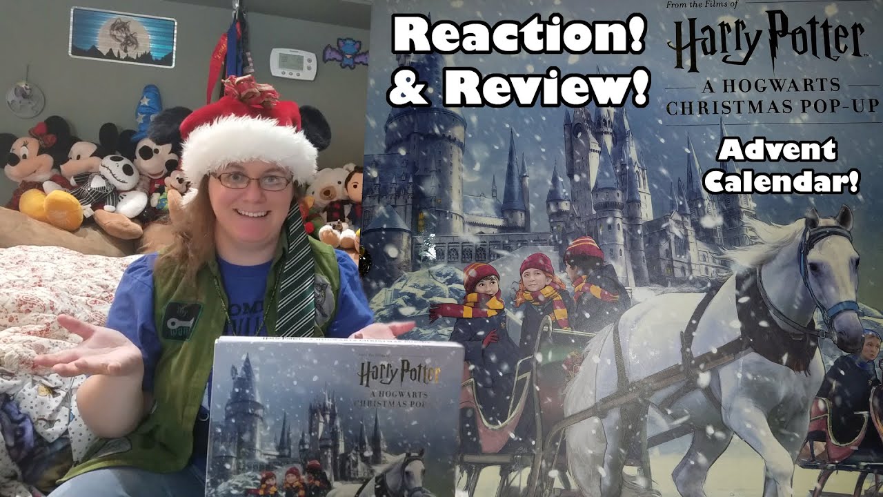 Harry Potter Christmas Pop-Up Advent Calendar | 2019 Old But New