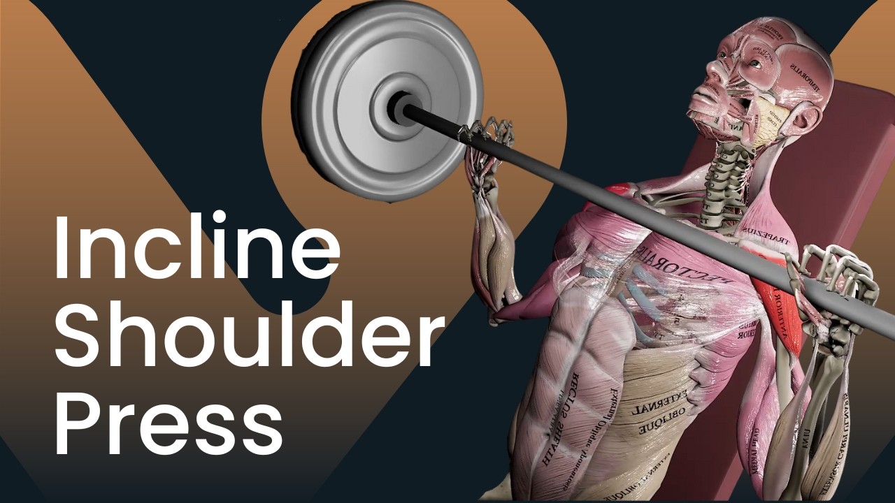 Incline Shoulder Press Smith Machine: Technique, Muscles, and Key Mistakes