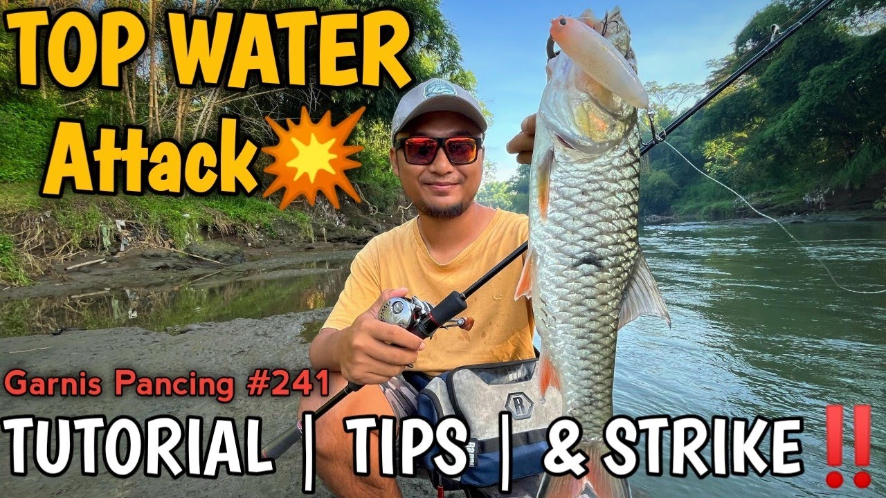 JANGAN SAMPAI TERLEWAT‼️🤩SAAT INI IKAN LAGI GALAK-GALAKNYA | TIPS & TRIK CASTING HAMPALA &  BADER