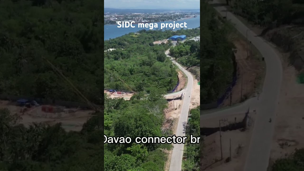 Samal Island Davao connector bridge project #davao #samalisland #bridge