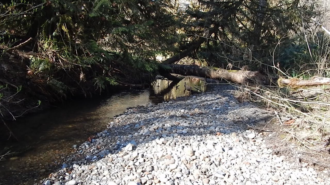 S3E6 Washington State Gold Mining Prospecting Creek #1 wth Pete
