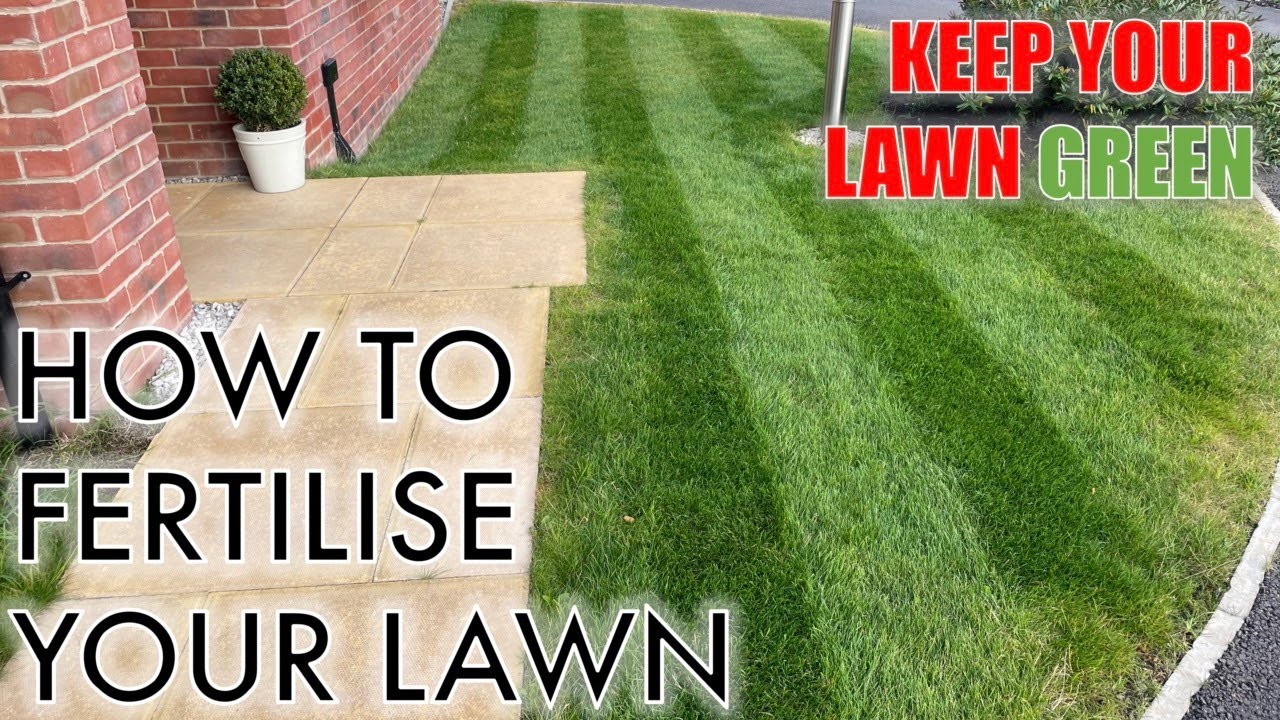How to Fertilise your Lawn and Keep it Green!