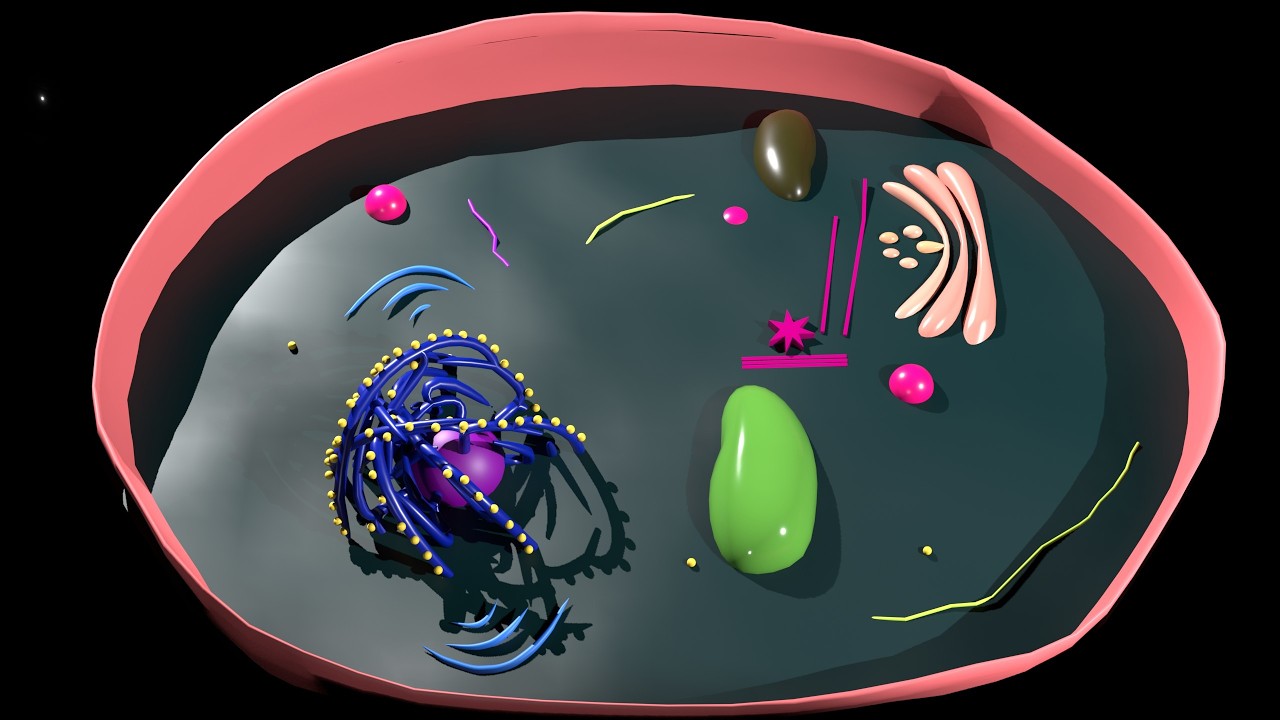 WORKING OF A CELL IN 3D ANIMATION