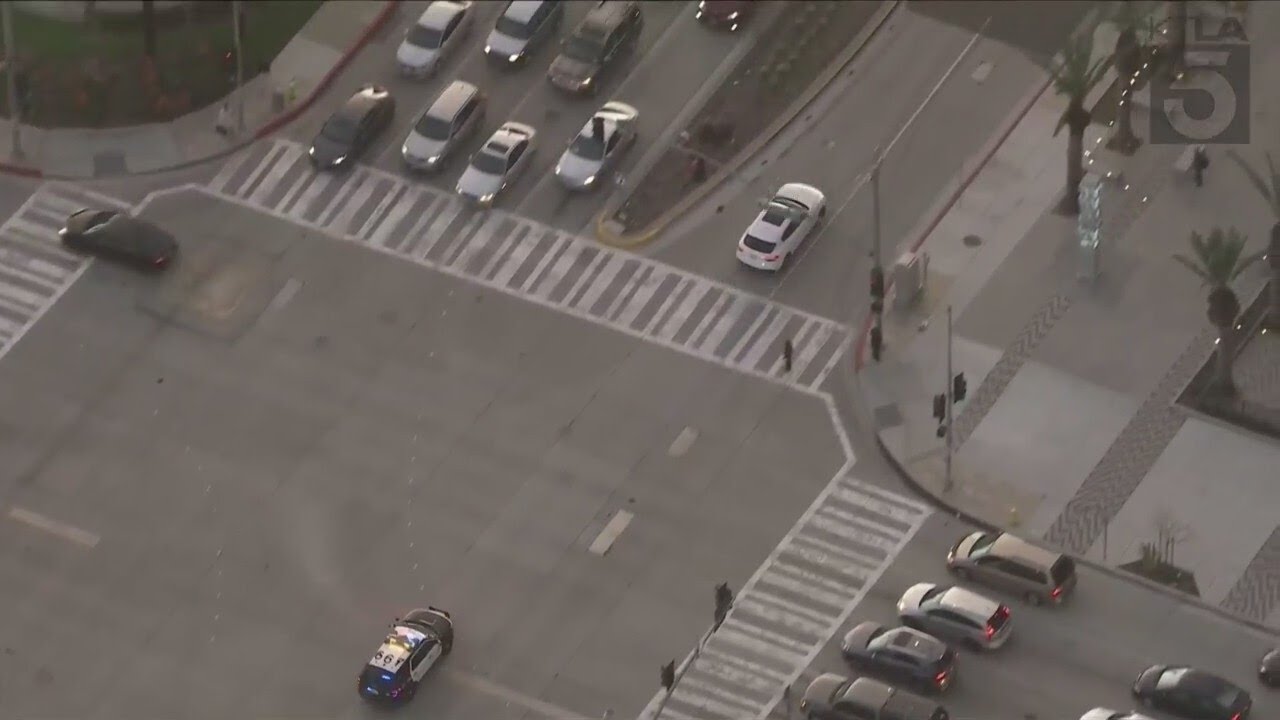 Stolen vehicle suspect arrested after leading authorities in chase