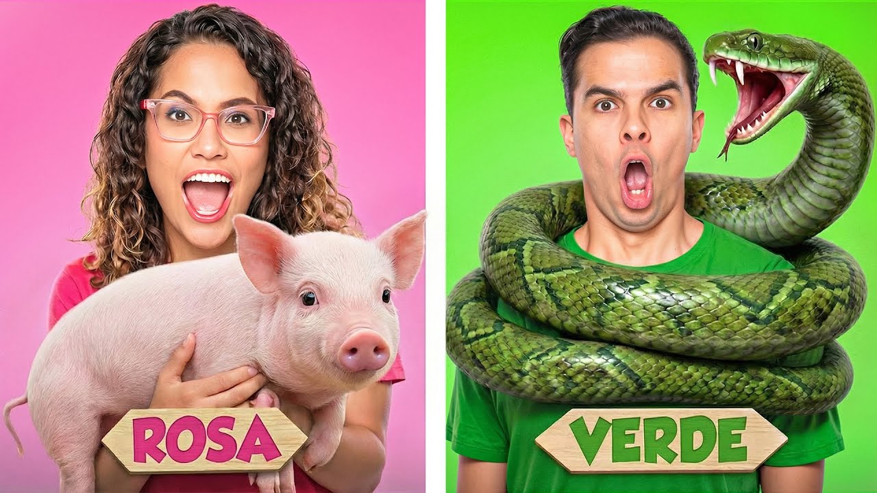 QUEM CUIDAR MELHOR DO ANIMAL DA SUA COR, VENCE! 