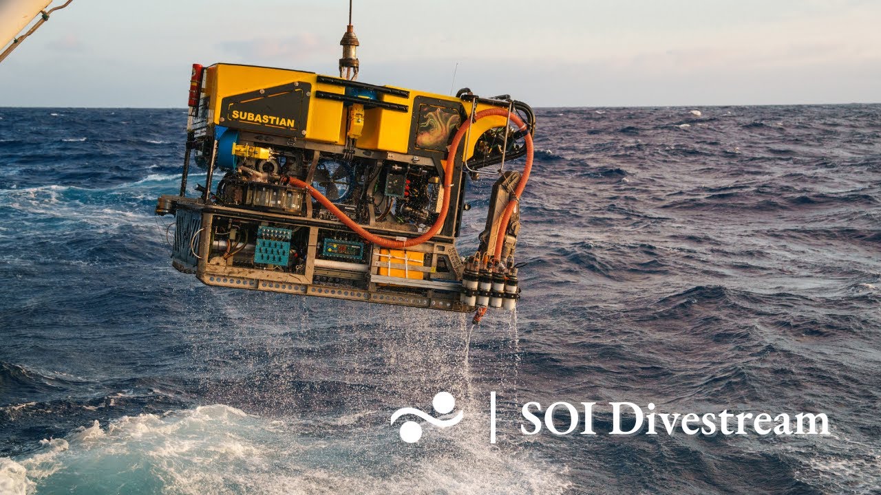 Head of Cabo Polonio Submarine Canyon | SOI Divestream 845
