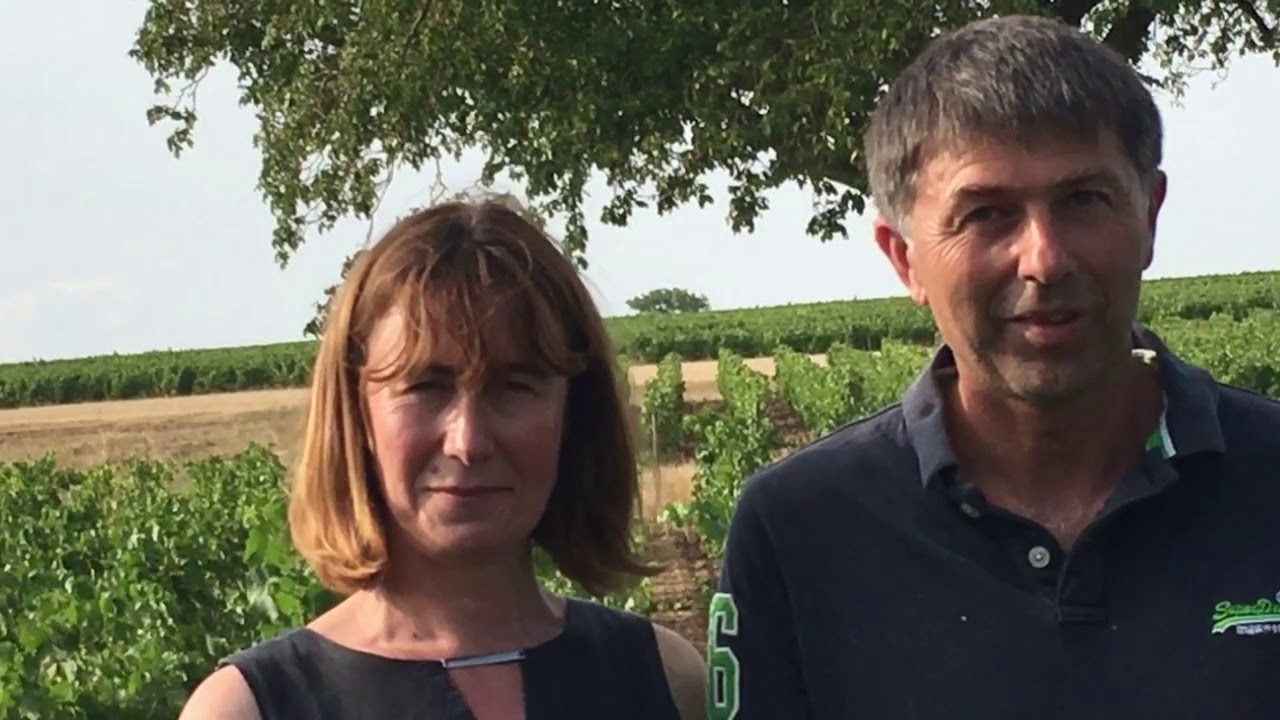 Cedrick Bardin 2018 Pouilly-Sur-Loire