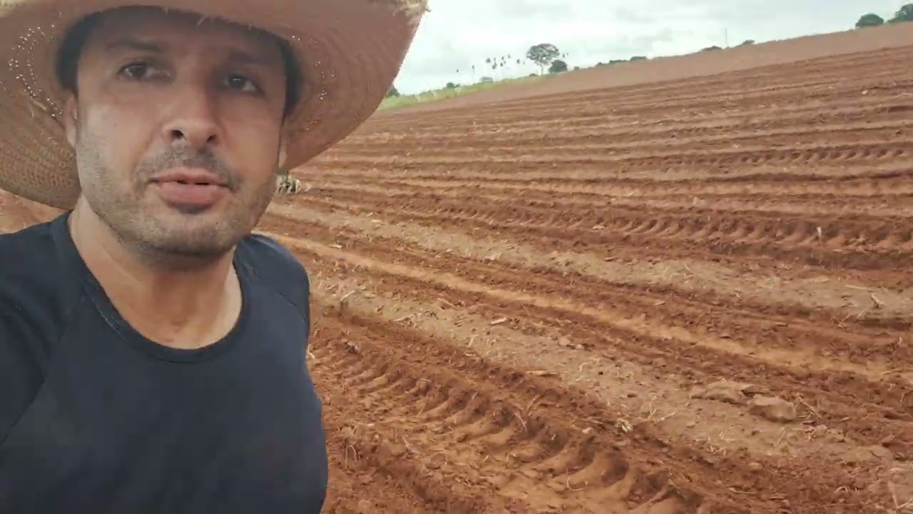3 de fevereiro de 2026