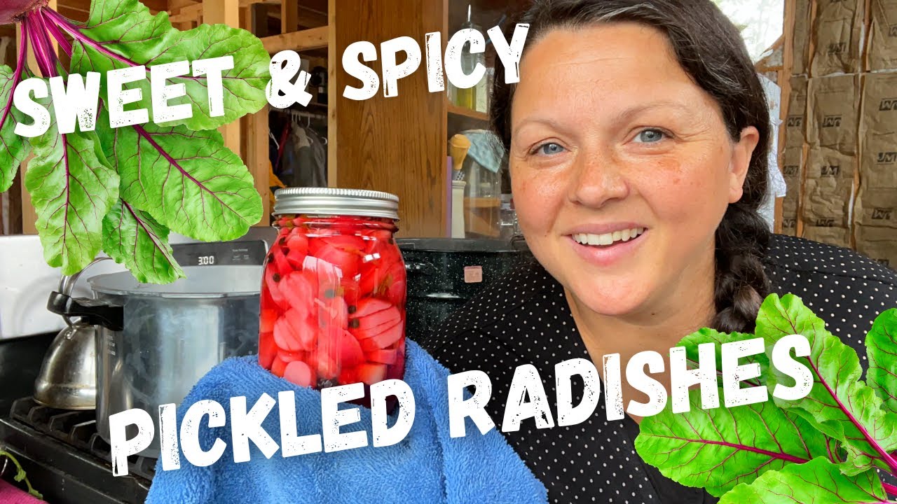 SWEET & SPICY PICKLED RADISHES - HOMESTEADING ALASKA