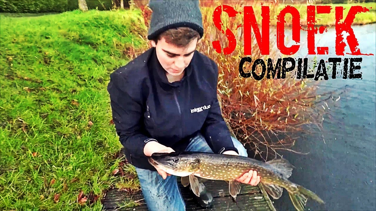 Snoek Compilatie Eind 2017