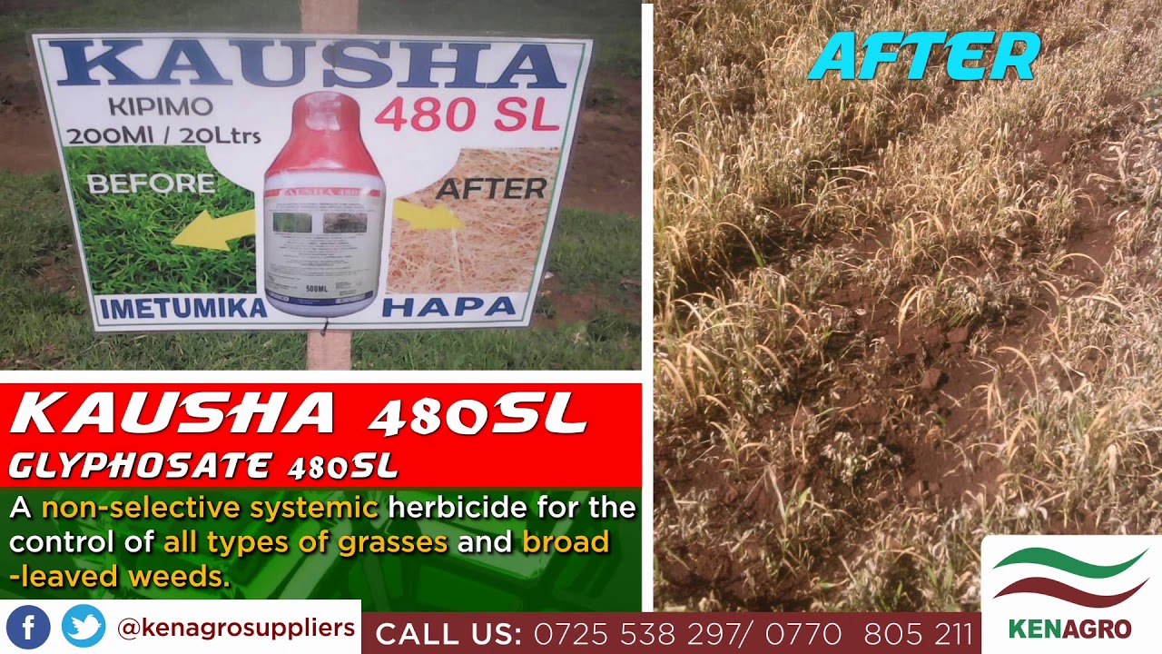 Kausha 480SL Herbicide