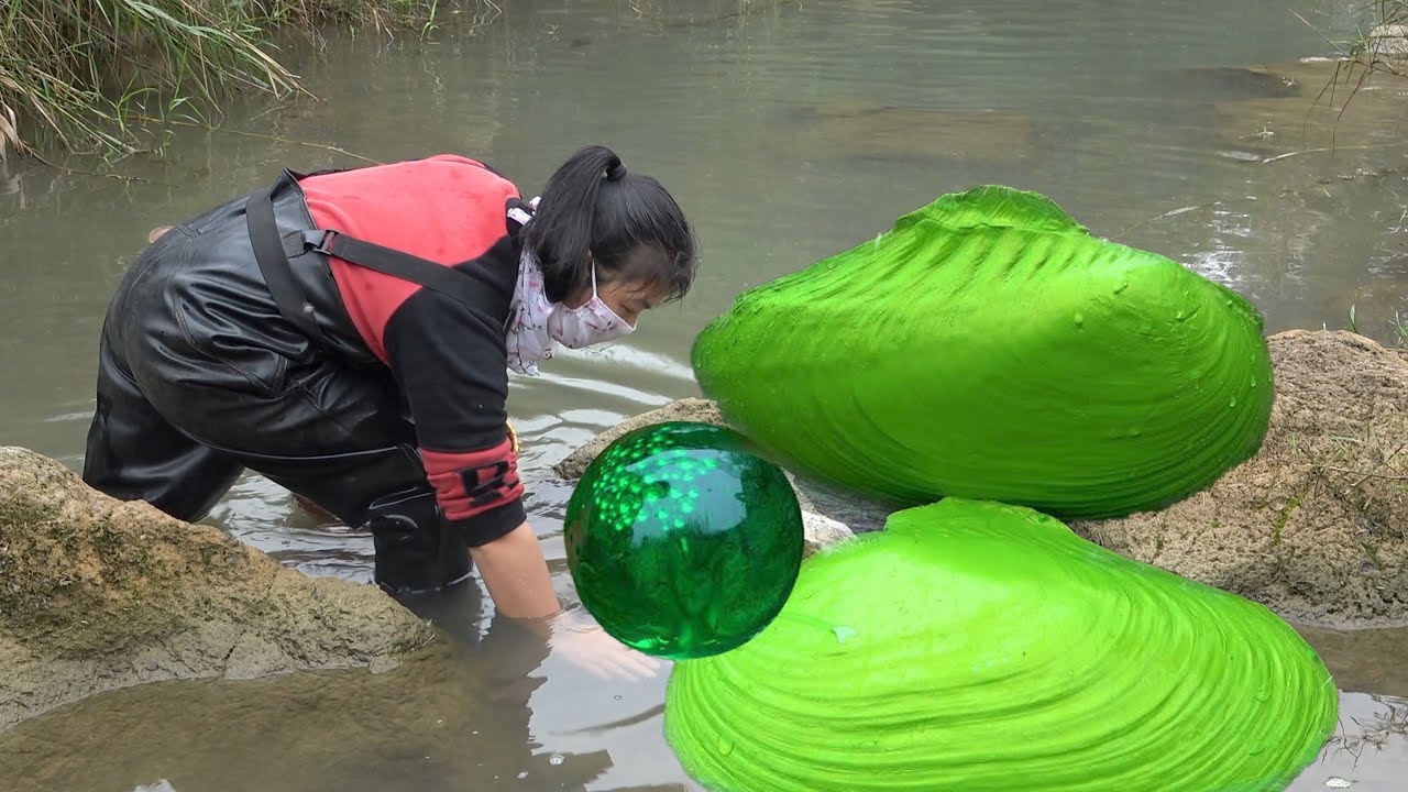 Treasure Life: The girl opens a huge clam and discovers fragile and beautiful pearls