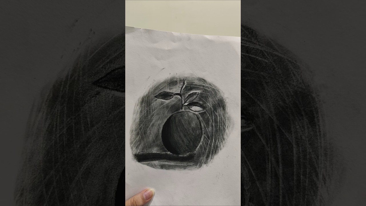 Charcoal sketch | Orange  #art #workingartist#drawing #artist #orange #sketch #sketching#orangeart