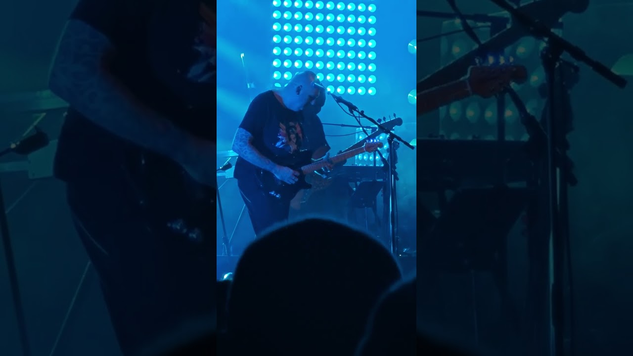 Who wants to live forever, Peter Johansson