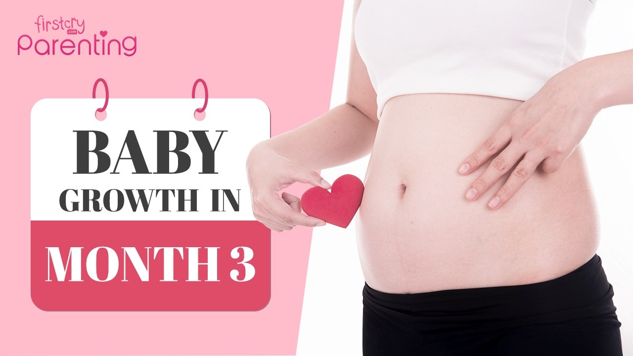 3 Months Pregnant - Baby Development and Symptoms | 3 Months Pregnancy