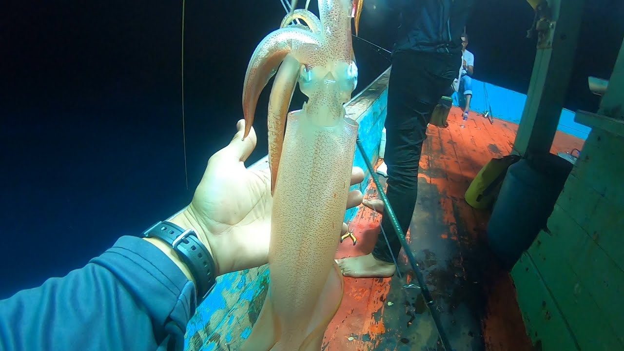 Candat Sotong paling best..