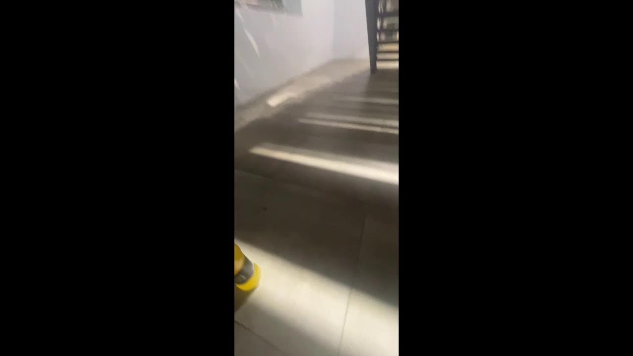 Хенеси живой ес чо