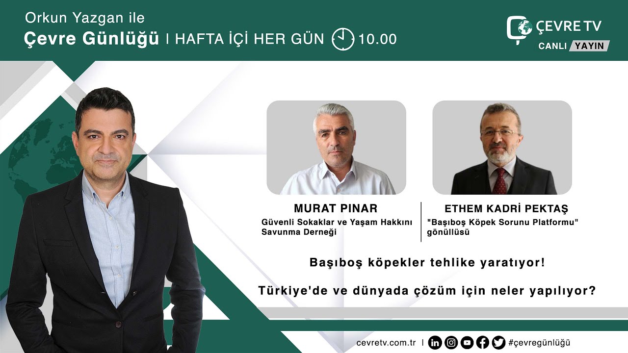Başıboş köpekler güvenlik sorunu mu? Nasıl çözülecek? | 2 Ağustos 2022 Salı #ÇevreGünlüğü