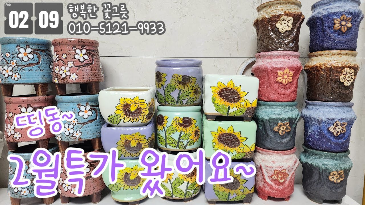 사이즈 굿굿!!👍🏻👍🏻 행복한꽃그릇 💥2월 특가화분💥 3번,6번,9번 소개합니다