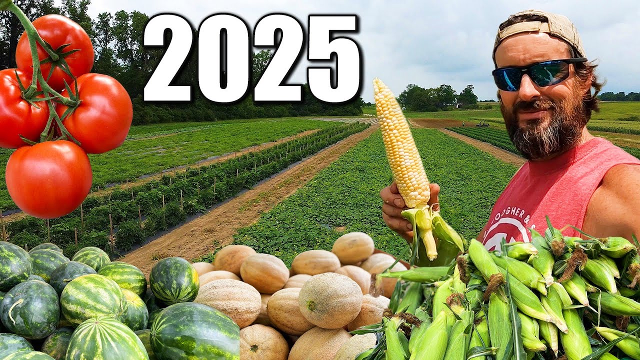 A Vegetable Farmer’s Entire 2025 — From Planting to Harvest
