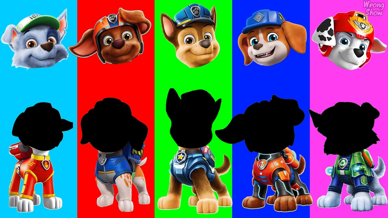 Wrong eyes 👀 Paw Patrol Family Friendly Full Episodes - DAME TU COSITA Funny Puzzle Wrong Heads #43