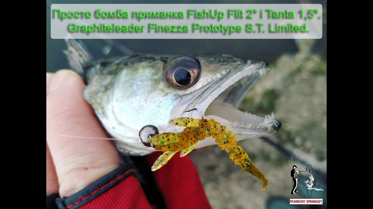 Просто бомба приманка FishUp Flit 2