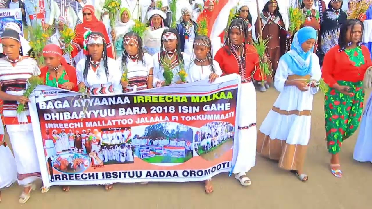 Godina Arsii Aanaa Colleetti Irreechii malkaa dhibaayyuu sirnoota gara garaan kabajame olee Jira.