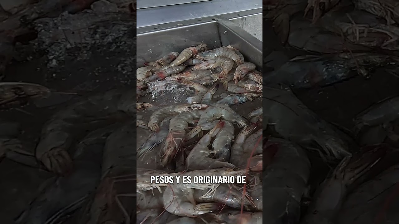 Aventuras de sabores el delicioso pescado local 🐟