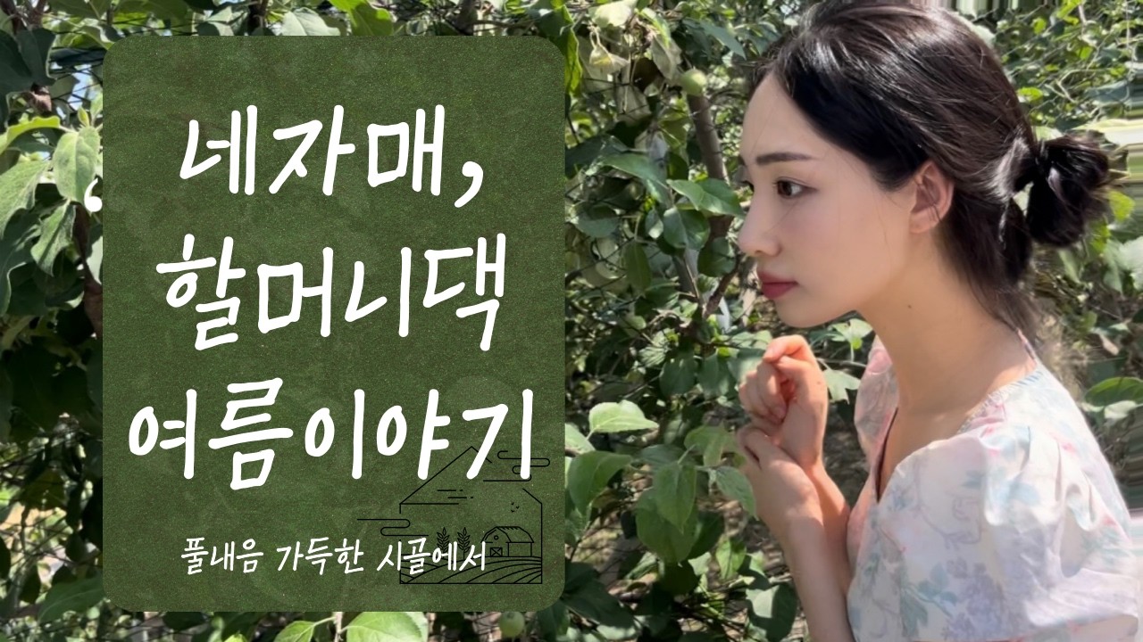 할머니댁 시골 어느 여름날