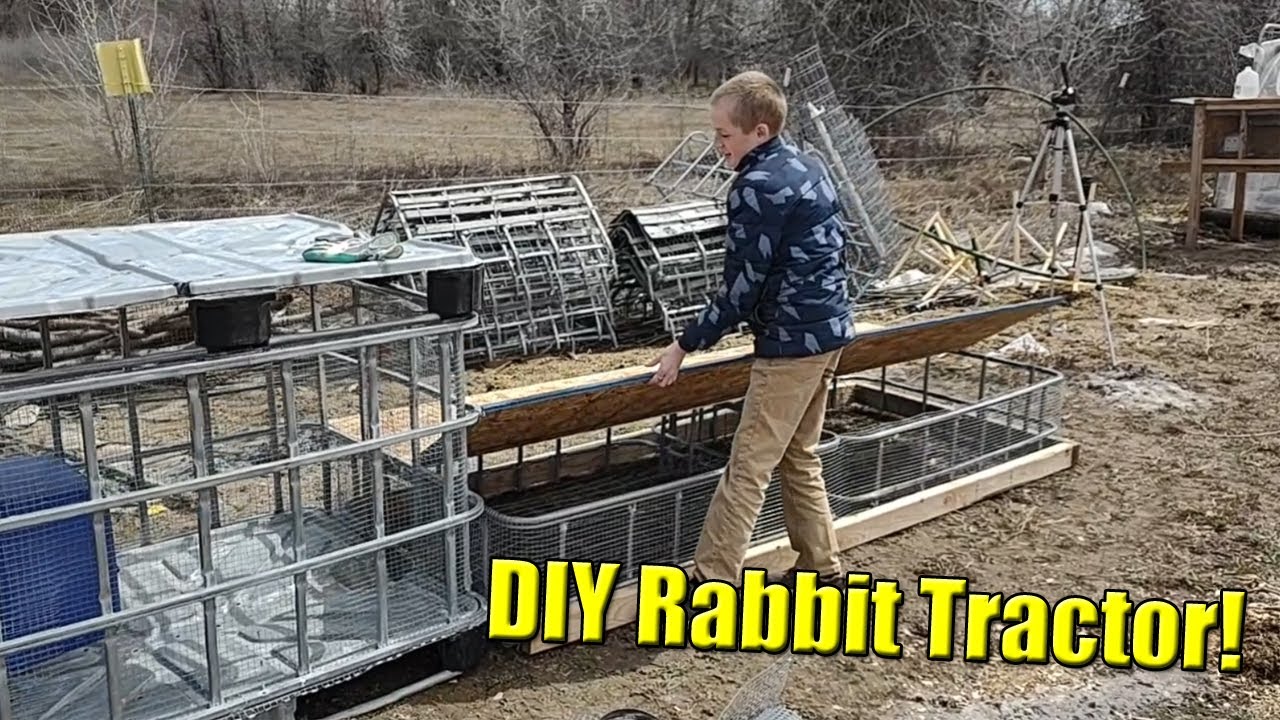 Awesome DIY Rabbit Tractor Colony!