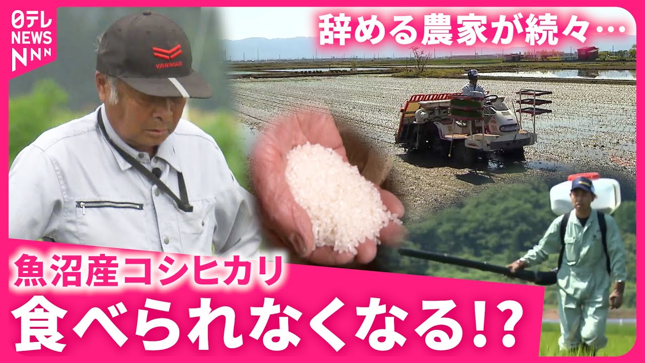 【米がピンチ】深刻な高齢化と担い手不足… 危機に瀕する