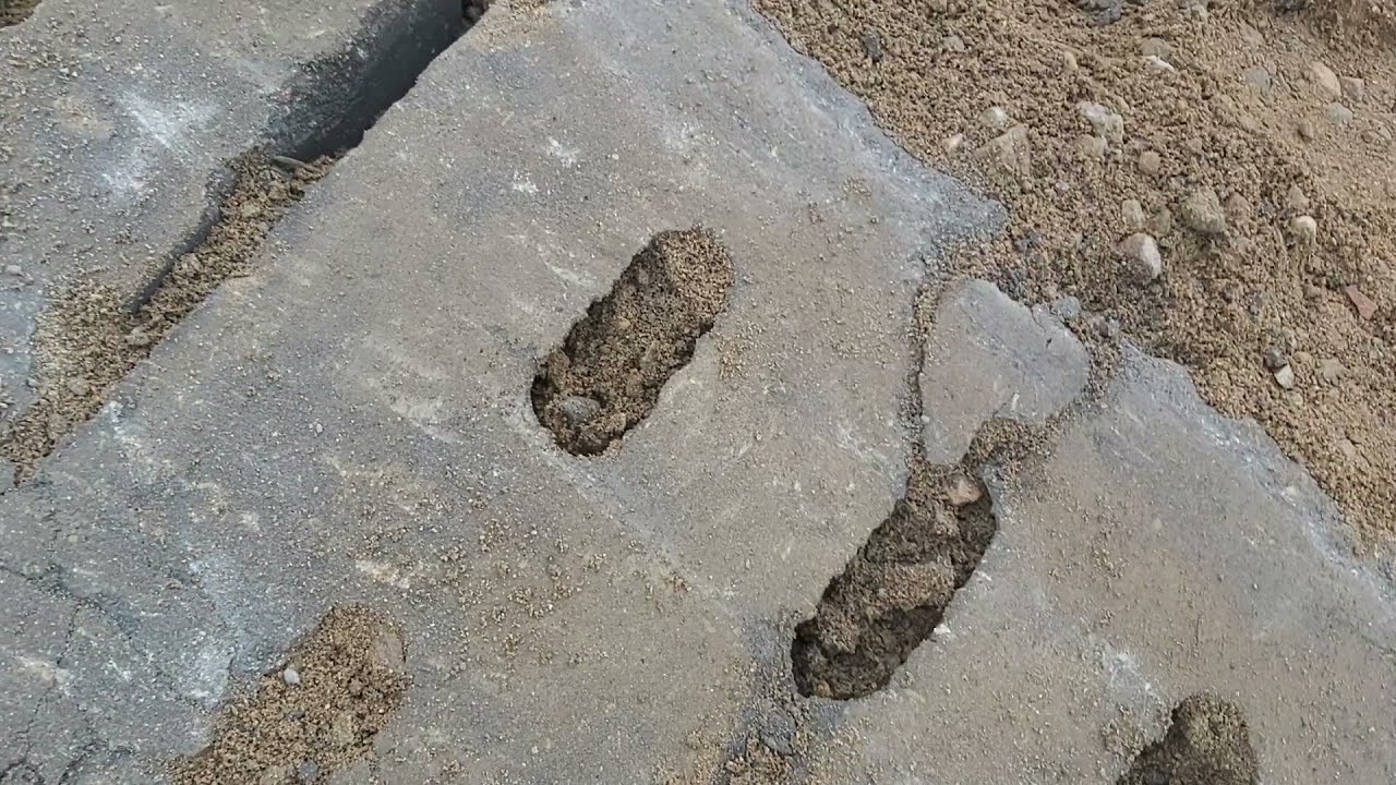 PRZESTROGA 3 : Płyty 